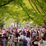 Atlanta Events Atlanta Dogwood Festival featured in Atlanta Latinos Magazine