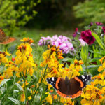 gorgeous-johns-creek-atlanta-homes