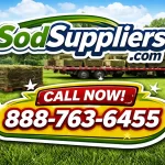 Georgia-sod-suppliers-near-Atlanta